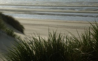 zee strand en duinen in koksijde